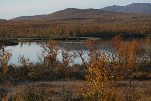 IMG_8801.JPG