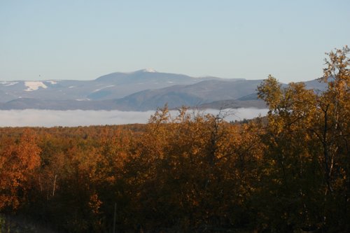 IMG_8809.JPG
