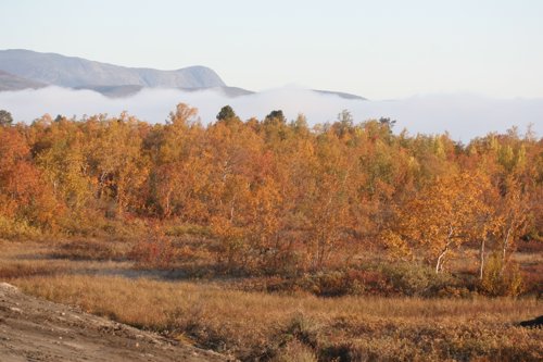 IMG_8814.JPG
