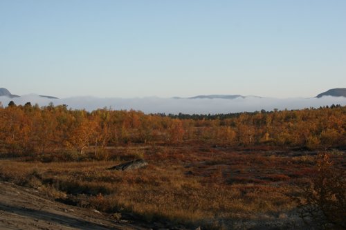 IMG_8815.JPG