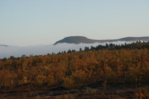 IMG_8816.JPG