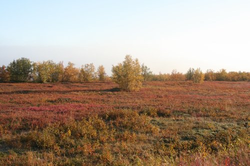 IMG_8821.JPG