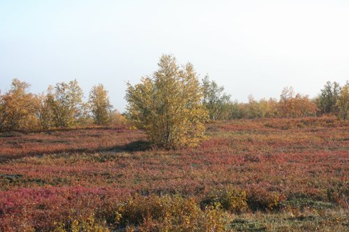 IMG_8822.JPG