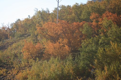 IMG_8826.JPG