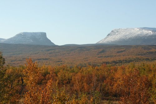 IMG_8827.JPG