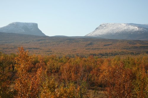 IMG_8828.JPG