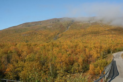 IMG_8831.JPG