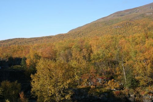 IMG_8832.JPG