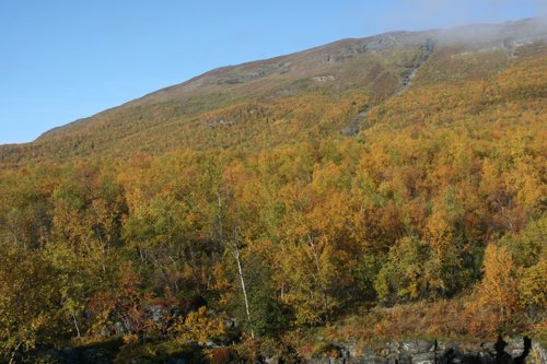IMG_8834.JPG
