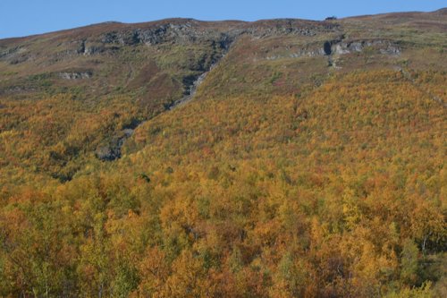 IMG_8850.JPG