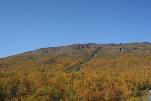 IMG_8851.JPG