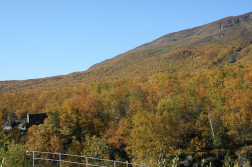 IMG_8853.JPG