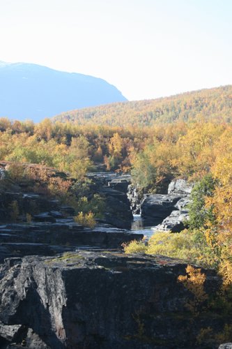 IMG_8859.JPG