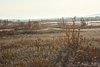 IMG_8775.JPG