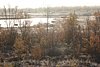IMG_8778.JPG