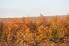 IMG_8781.JPG