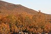 IMG_8797.JPG