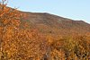 IMG_8798.JPG