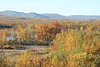 IMG_8802.JPG