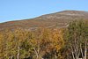 IMG_8803.JPG