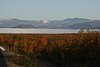 IMG_8807.JPG