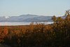 IMG_8809.JPG