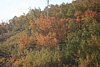 IMG_8826.JPG