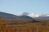IMG_8830.JPG