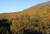 IMG_8832.JPG
