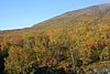 IMG_8833.JPG