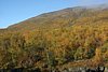 IMG_8834.JPG