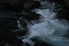 IMG_8836.JPG