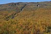 IMG_8850.JPG