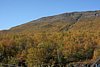 IMG_8852.JPG