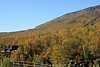 IMG_8853.JPG