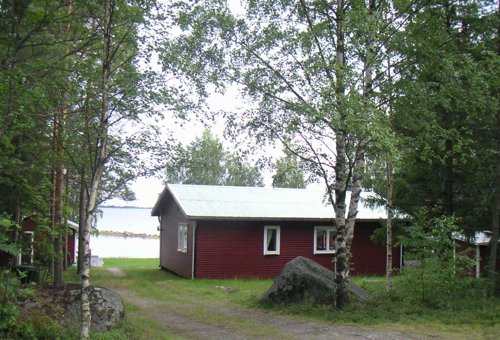 hedlund.jpg