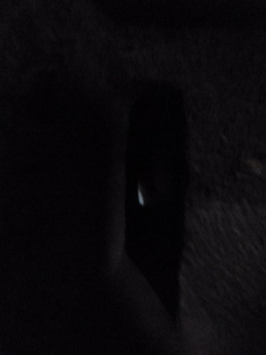 P1000202.JPG