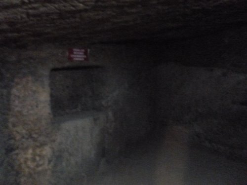 P1000204.JPG