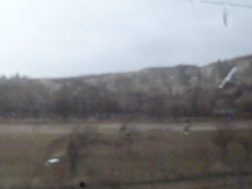 P1000210.JPG