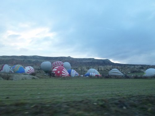 P1000218.JPG