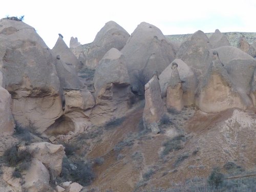 P1000247.JPG