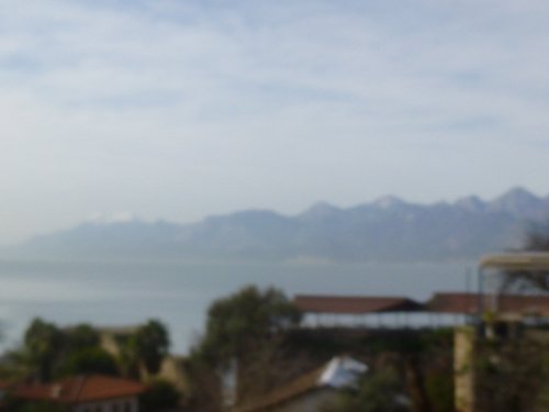 P1000255.JPG