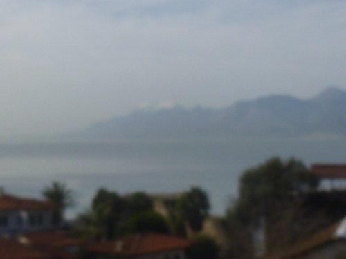 P1000256.JPG