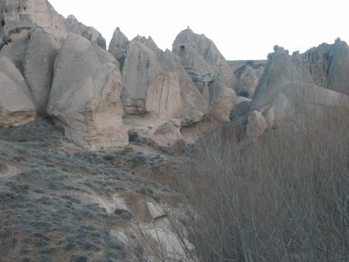 P2040036.JPG
