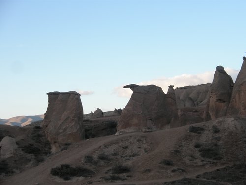 P2040038.JPG