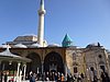 P1000252.JPG