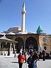 P1000253.JPG
