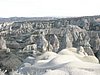 P2040018.JPG