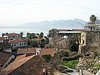 P2060039.JPG